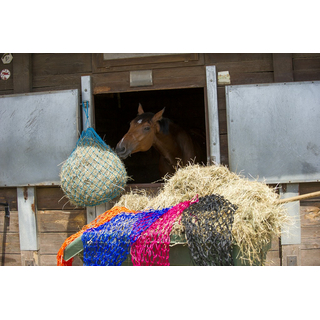 EKKIA HIPPOTONIC Heunetz blau