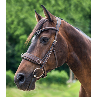 Waldhausen Lederkappzaum anatomic diverse Farben und Gren schwarz PON